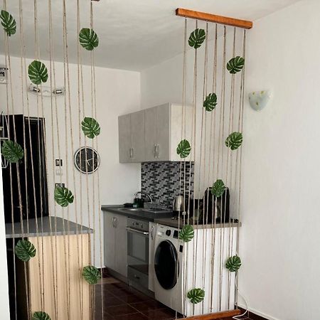 Garsoniera Saturn Appartement Mangalia Buitenkant foto